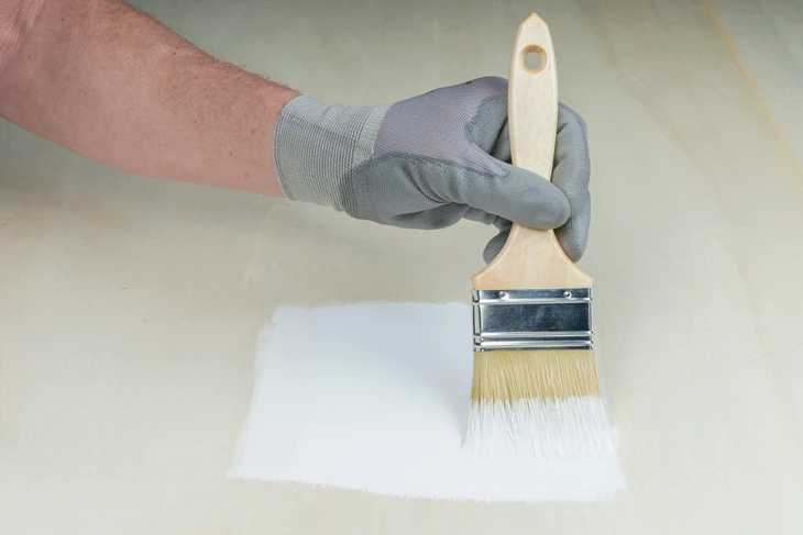 Ensemble de pinceaux à rouleaux avec peinture à bandes